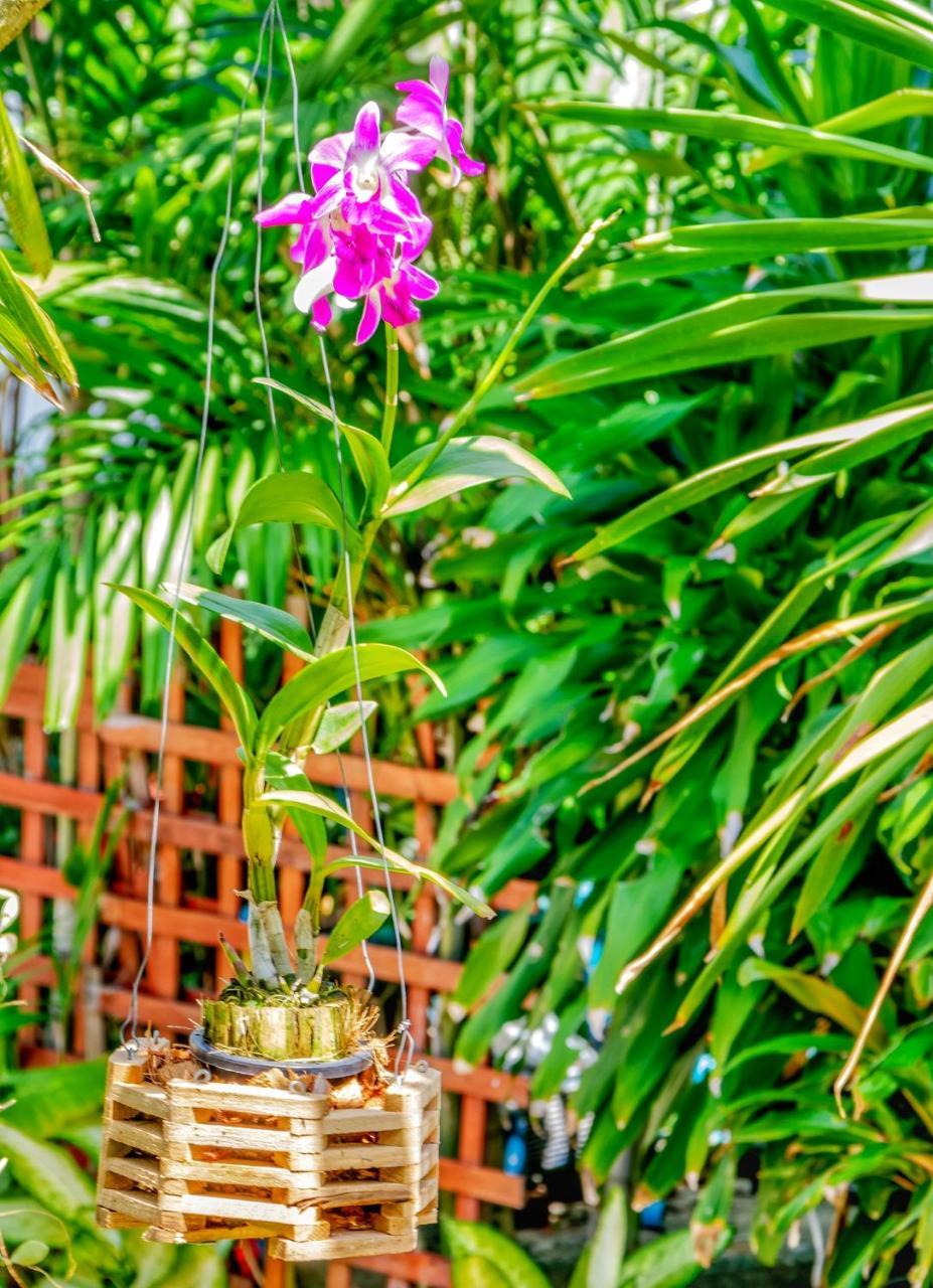 Kata Leaf Resort Phuket - Екстериор снимка